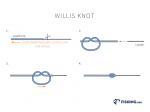 Willis Knot